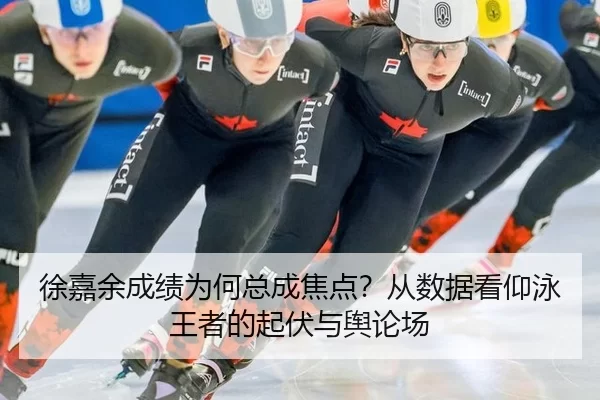xu-jia-yu-cheng-ji-wei-he-zong-cheng-jiao-dian-cong-shu-ju-kan-yang-yong-wang-zhe-de-qi-fu-yu-yu-lun-chang-2-474.jpg